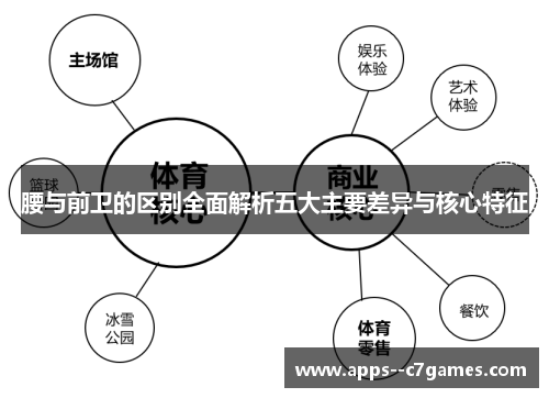 腰与前卫的区别全面解析五大主要差异与核心特征